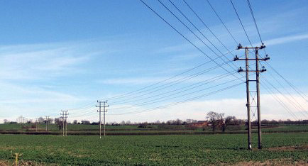 Rural Utility Lines in Agricultural Area
